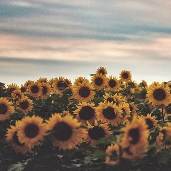 Meet your Posher, Jacqueline - Picture 1 of 1